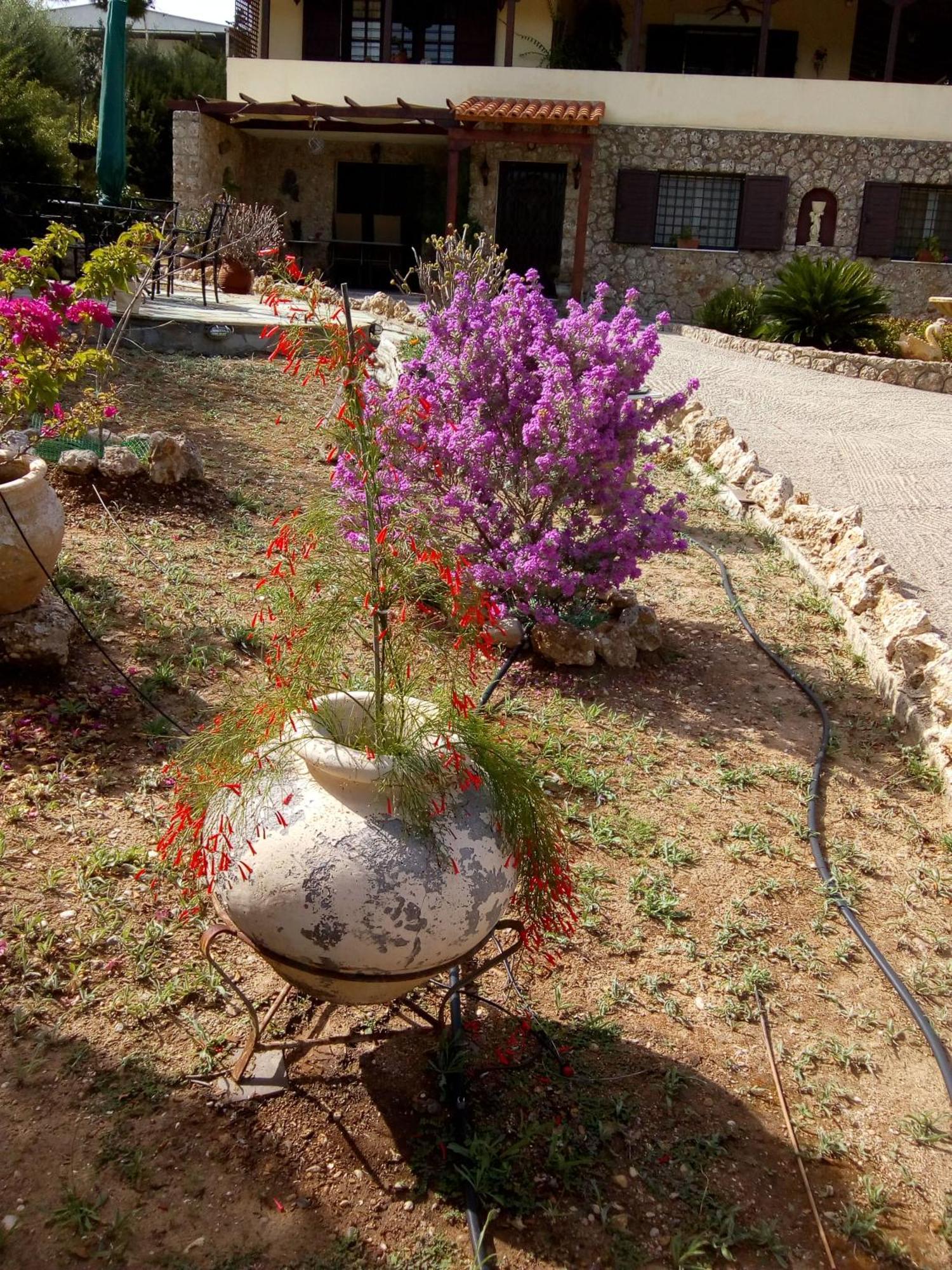 Villa Rita - Porto Heli Exterior foto
